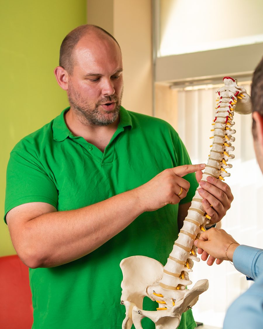 Therapeut erklärt die Anatomie an einem Wirbelsäulenmodell
